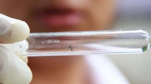 Гражданка США заразилась вирусом Зика на Филиппинах