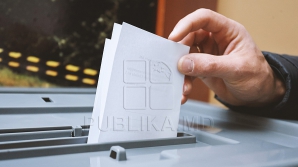 Инициативу блока ACUM дать возможность диаспоре голосовать в течении двух дней, подвергли критике