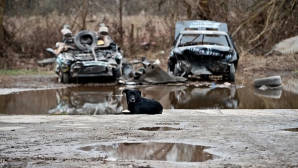В штате Миссисипи из-за наводнений повреждены десятки домов