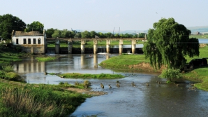 Стартовала кампания по сносу плетеных заграждений для ловли рыбы на реке Реут