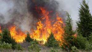 В США журналисты спасли тракториста из огня