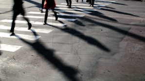 В Кишиневе начали обновлять дорожную разметку