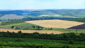 Почему не работает закон об использовании грунтовых вод для орошения сельхозугодий