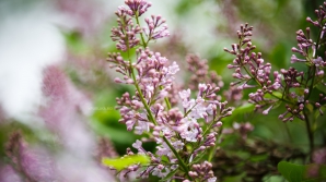 Прогноз погоды на 10 мая