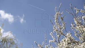 Прогноз погоды на 10 мая