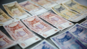 ГНИ: по итогам 2015 года в Молдове зарегистрировано более 300 миллионеров