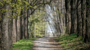 Синоптики порадовали прогнозом погоды на выходные 