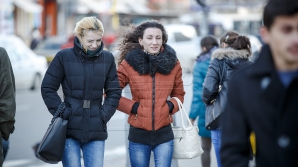 Объявлен желтый код метеоопасности в связи с усилением ветра