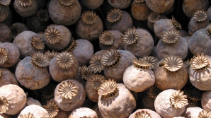 Мужчина и женщина задержаны при попытке продать наркотики полицейскому 