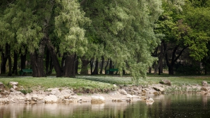 20 мая в стране немного потеплеет, возможны кратковременные дожди