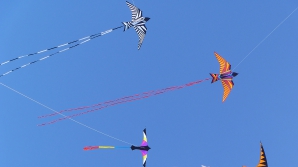 Фестиваль воздушных змеев прошел в комплексе Ватра