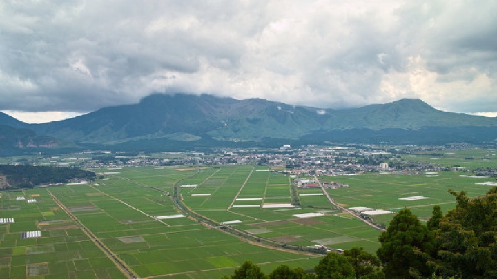 Количество жертв землетрясения в Японии достигло трех