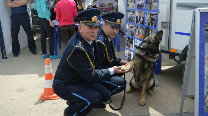 «Четырехлапый таможенник» предотвратил 18 попыток контрабанды