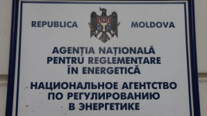 НАРЭ представит максимально допустимые цены на нефтепродукты