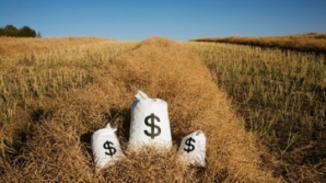 Фонд субсидирования сельского хозяйства намерены увеличить в 1,5 раза