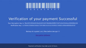 Хакеры опубликовали «лекарство» от популярного вируса