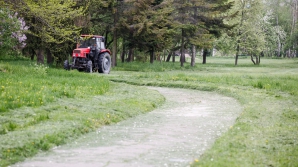 Воскресенье в Молдове будет теплым