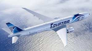 Власти Египта подтвердили информацию о падении самолета EgyptAir 