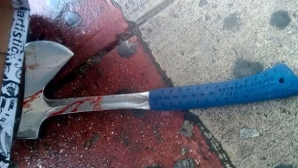 Гражданин Молдовы, изрубивший семью топором в Подмосковье, попал на видео