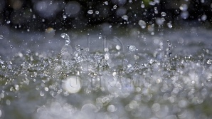 Желтый код в связи с ливнями продлен до девяти вечера