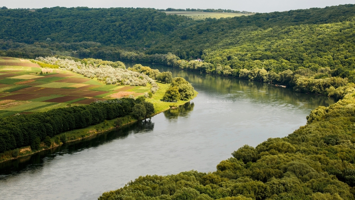 За последние сутки уровень воды в Днестре поднялся на 20 см