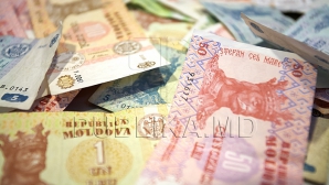 Минсельхоз погасил задолженности по выплате компенсаций садоводам