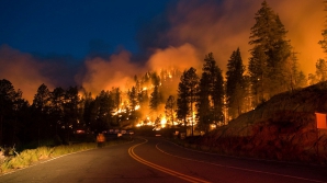 Пожар в заповеднике штата Нью-Мексико угрожает редким видам животных и птиц