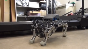 В США представили робота-чихуахуа