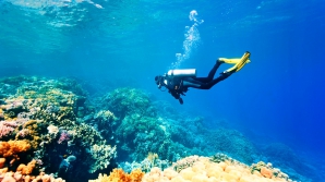 Затопленный во Флориде корабль станет частью подводного парка (ВИДЕО)