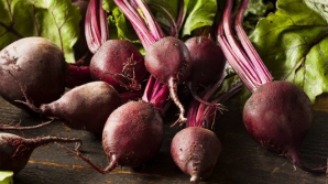 Фермеры на севере страны озадачены: урожай свёклы в этом году сократится вдвое