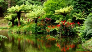 В Дубае появится первый в мире отель с собственным тропическим лесом