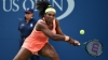 Серена Уильямс вышла в полуфинал US Open