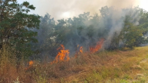 За минувшие сутки пожарные ликвидировали более 80 возгораний сухой травы