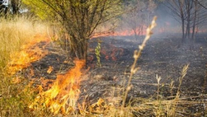 Под столицей со стороны Телецентра загорелся сухостой