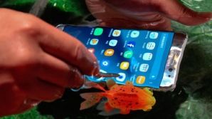 Samsung бесплатно заменит все выпущенные Galaxy Note 7