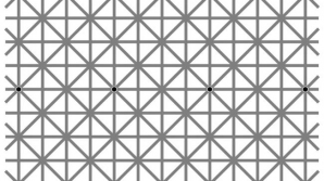 Пользователи Сети ломают голову из-за оптической иллюзии с 12 точками (ФОТО)