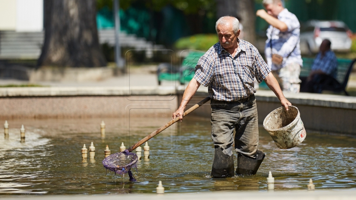 Курс валют на 10 мая: евро - 15,44, доллар - 11,85 леев