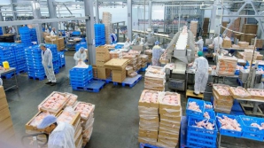 Итальянская компания намерена открыть фабрику по переработке субпродуктов