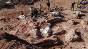 В Австралии обнаружен новый вид гигантских динозавров