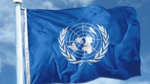 Более 80 НПО требуют исключить Россию из Совета ООН по правам человека