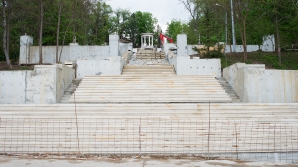 Вдоль Каскадной лестницы высадят холодоустойчивые туи и тысячу хризантем