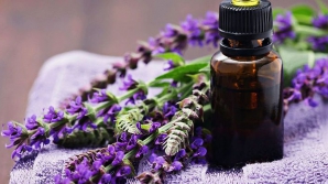 Целебные свойства эфирных масел: врачи советуют ароматерапию для профилактики ОРВИ