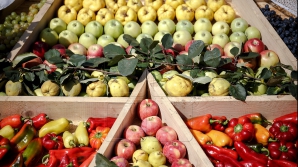 Объем сельхозпродукции вырос на 19% по сравнению с тем же периодом 2015