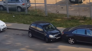 Девушка показала мастер-класс парковки (ВИДЕО)