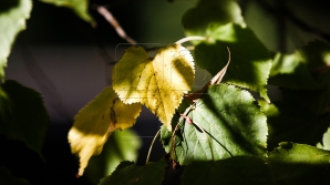 Прогноз погоды на 7 октября