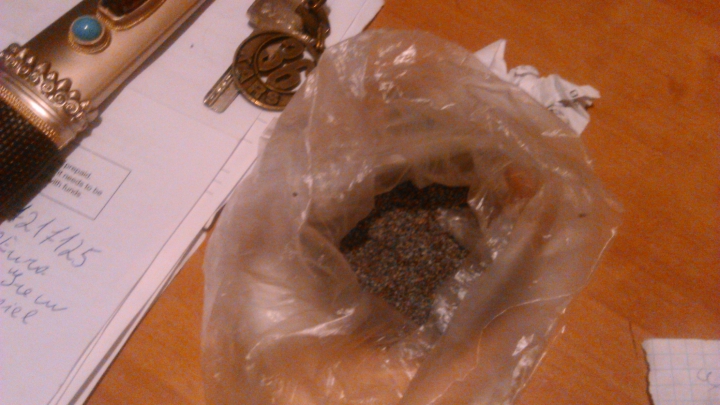 Озвучены новые подробности из дела пропагандиста ИГИЛ