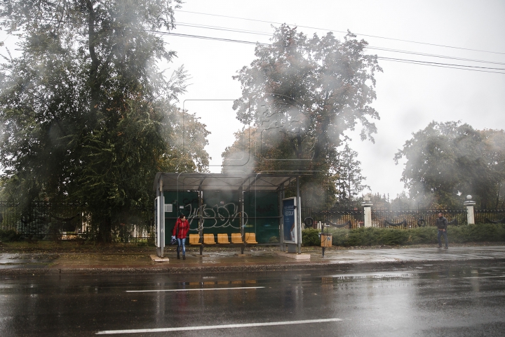 Проливные дожди оставили без электричества 95 населенных пунктов