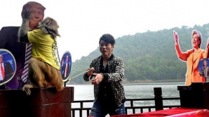 "Король обезьян" предсказывает победу Трампа на выборах в США