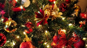 Главную ель стране подарил неизвестный спонсор