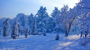 Жителей Таджикистана призвали запастись едой и теплой одеждой